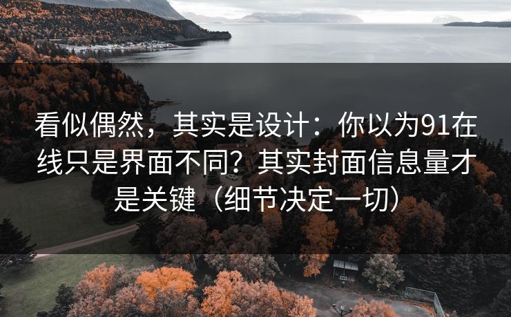 看似偶然,其实是设计:你以为91在线只是界面不同?其实封面信息量才是关键(细节决定一切) 看似偶然,其实是设计:你以为91在线只是界面不同?其实封面信息量才是关键(细节决定一切)