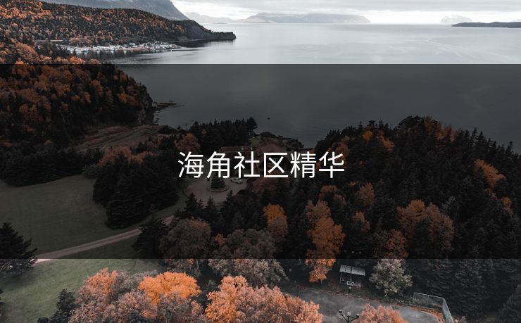 海角社区精华