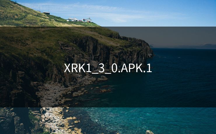 XRK1_3_0.APK.1