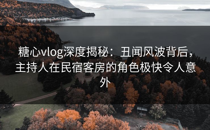 糖心vlog深度揭秘：丑闻风波背后，主持人在民宿客房的角色极快令人意外